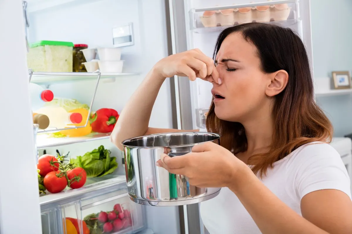 Disgusting look of a woman holding her nose in an open refrigerator.