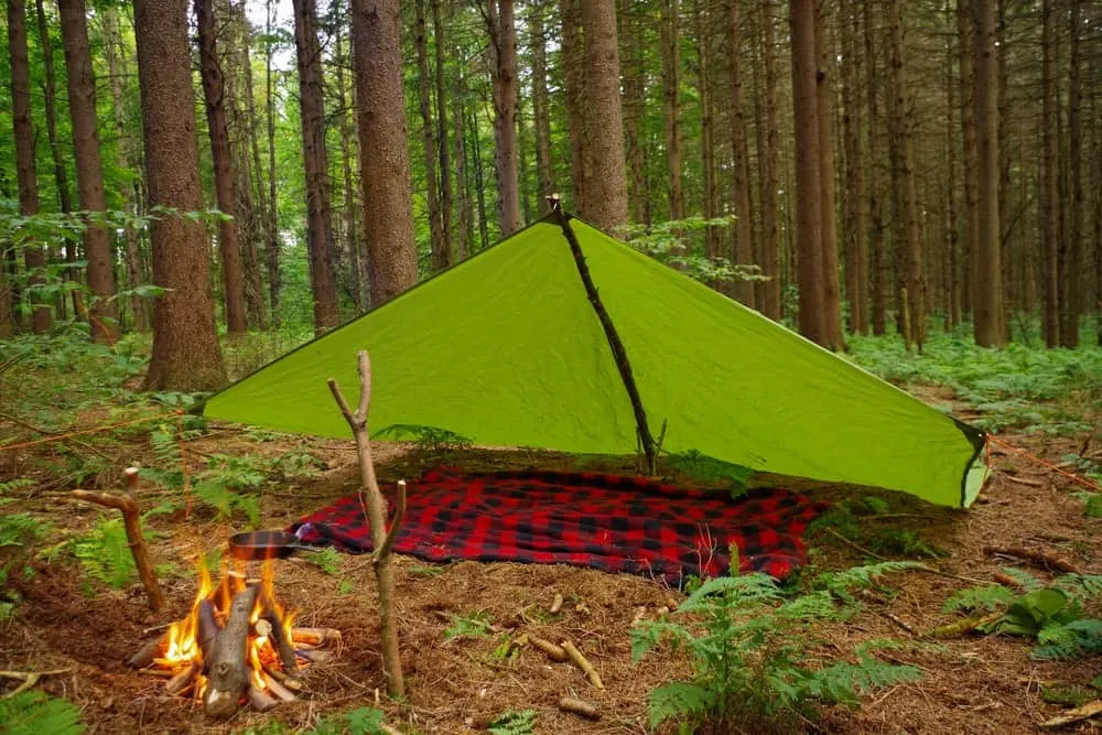 A tarp pitched in a forest with a bonfire nearby.