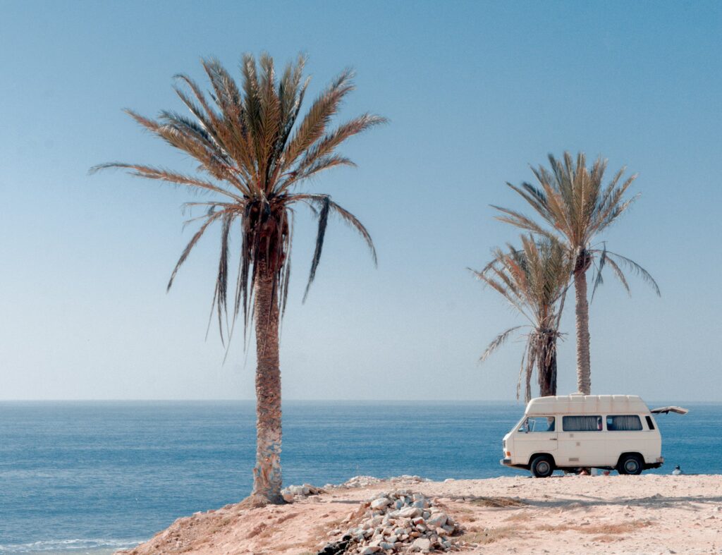 A white camper van parked on a rocky coastal area next to two tall palm trees, with the blue ocean and clear sky in the background.