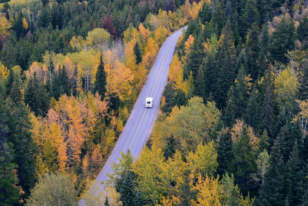 An RV driving on a scenic road surrounded by a forest with trees displaying vibrant autumn foliage.