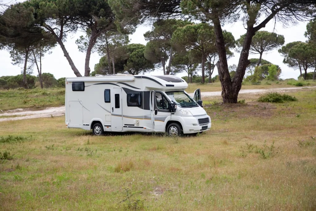 A campervan parked in an open grassy area surrounded by trees.