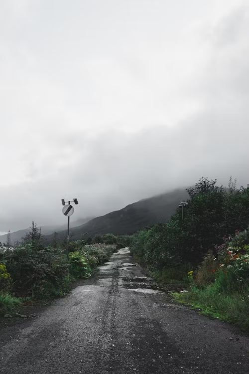 A narrow, wet road bordered by green vegetation, leading towards a foggy, mountainous area.