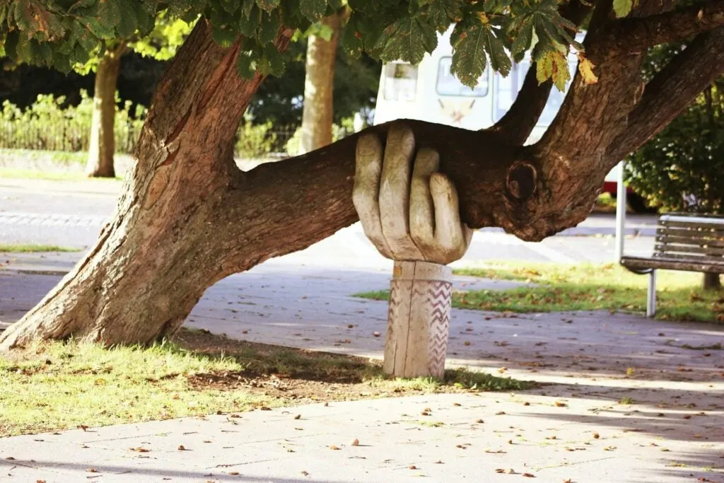 A tree branch being supported by a sculpted wooden hand, with a street and bench in the background.