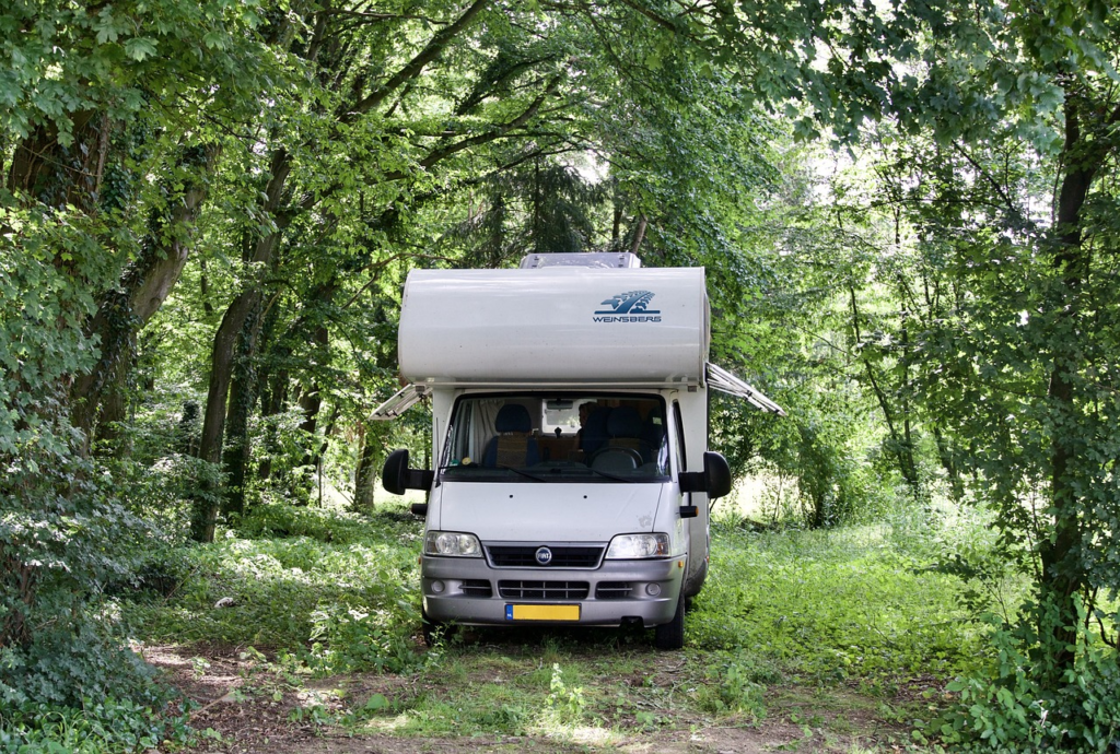 A campervan parked in a dense, green forest with trees surrounding it.