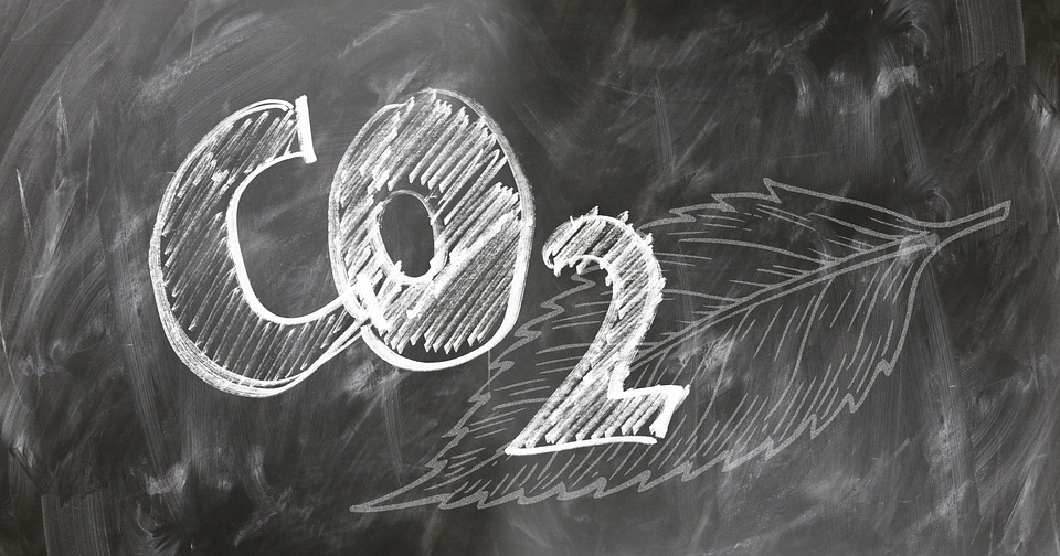 The chemical formula CO2 written in white chalk on a blackboard, with a sketch of a leaf.