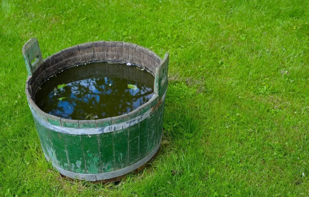 A large wooden barrel filled with water, set on a lush green lawn.