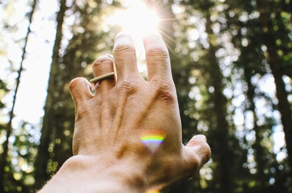 A hand reaching up towards the sun with shafts of light filtering through a forest in the background.