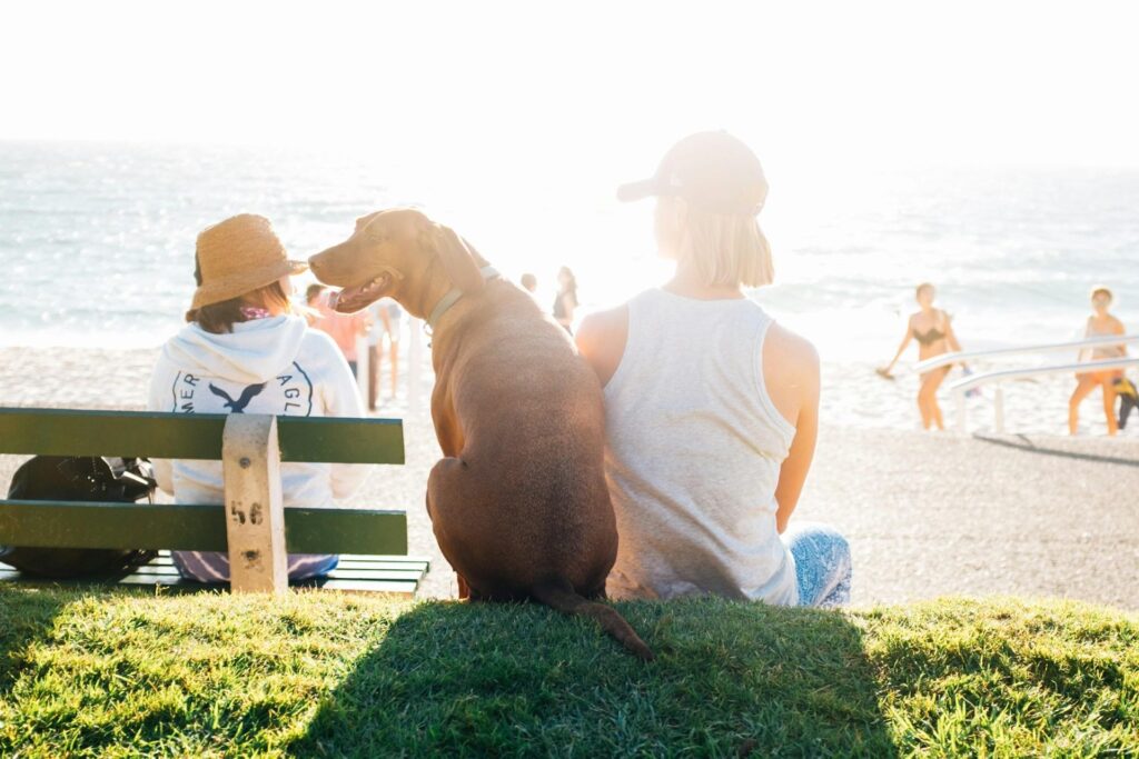 Two people sitting on a bench at the beach, one with a dog sitting beside them; other beachgoers in swimsuits are visible in the background.