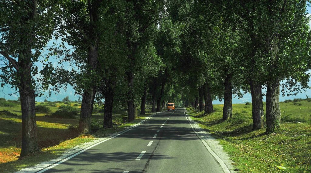  A tree-lined road stretching into the distance, with a vehicle approaching from afar, flanked by green fields and mountains in the background.