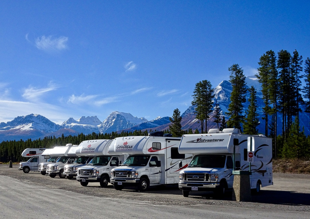 Several campervans parked in a row with a backdrop of snow-capped mountains and tall trees under a clear blue sky.