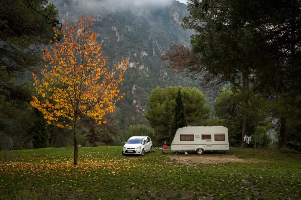 A car and travel trailer parked in a scenic forest area with a tree that has autumn leaves.