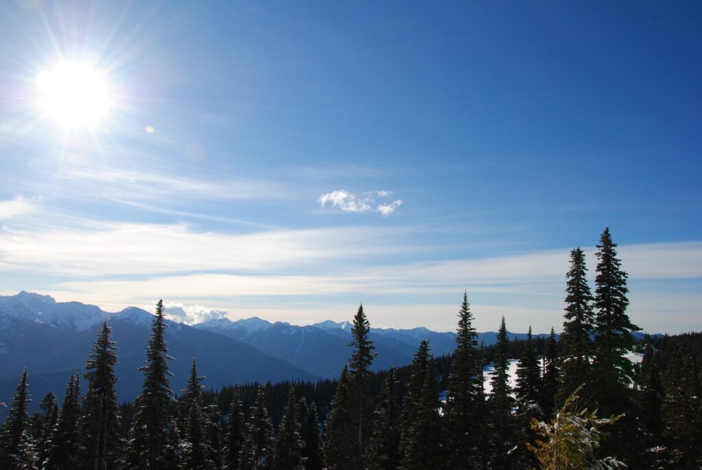 A stunning view of snow-capped mountains under a bright, sunny sky in Olympic National Park. Tall pine trees dot the foreground, and the sky is a vibrant blue with wispy clouds.