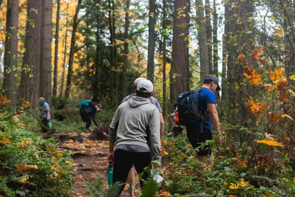 A group of hikers walking through a forest on a trail covered with leaves, surrounded by tall trees and autumn foliage.