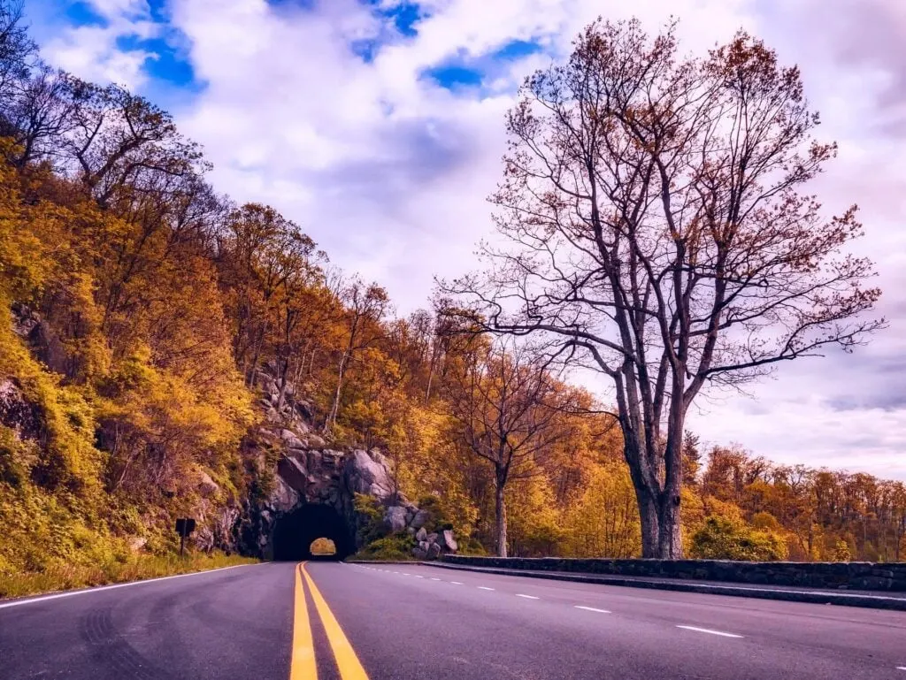 A scenic tunnel road winding through autumnal trees with yellow and orange leaves in Shenandoah National Park. The road leads into a rocky tunnel, and there is a bright blue sky with some clouds above.