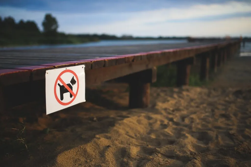 A "no dogs allowed" sign is placed on a wooden pier with sandy beach and water in the background.