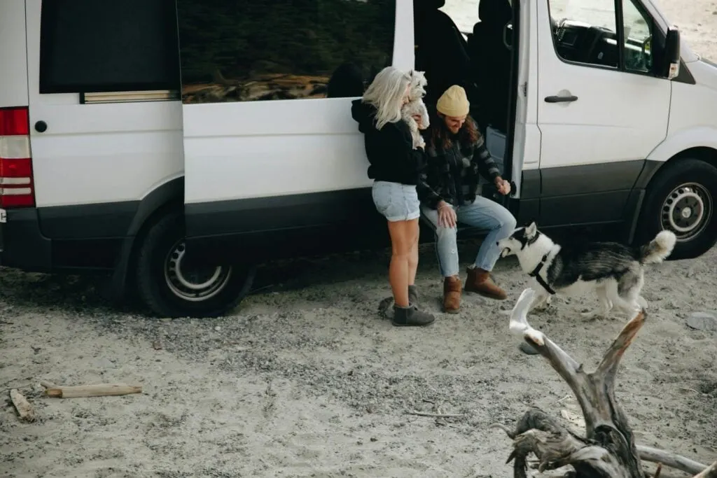 Two people and two dogs near a white camper van parked on a sandy area. One person is holding a small dog and the other is interacting with a larger dog.