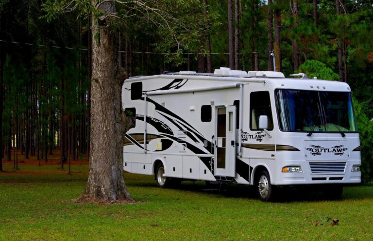 An RV parked on a grassy area near a dense pine forest.