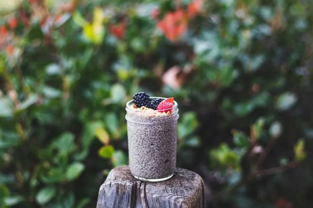 A jar of chia pudding topped with blackberries, strawberries, and granola, set on a tree stump with a blurred green background.