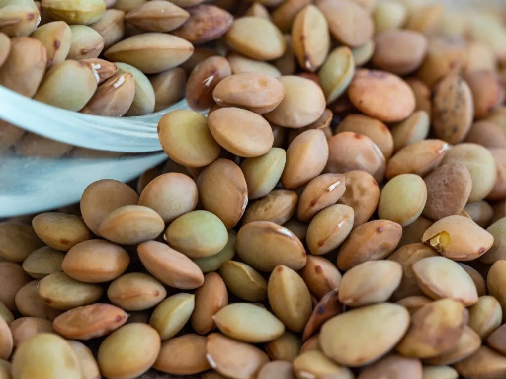 A close-up view of a pile of dried chickpeas.