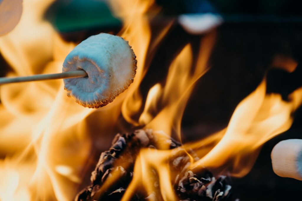 A marshmallow on a skewer being roasted over an open flame, with a pinecone in the fire.