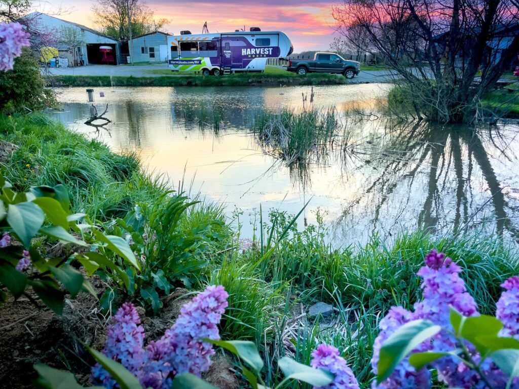 A camping trailer parked near a small pond, with blooming flowers and green grass in the foreground, during a colorful sunset.