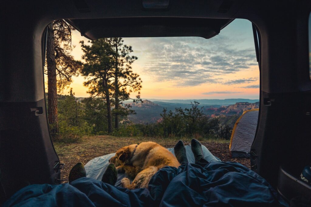 A scenic view from the back of a camper van, with two people lying in sleeping bags alongside a dog, looking out at a sunset over a beautiful mountainous landscape with trees.