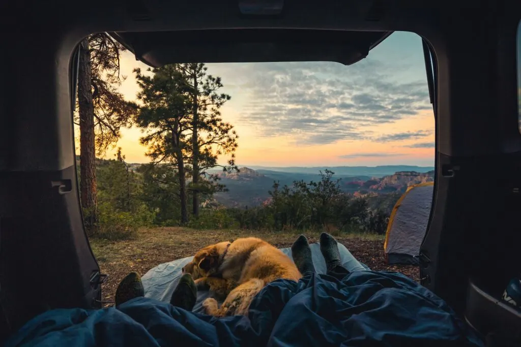 A scenic view from the back of a camper van, with two people lying in sleeping bags alongside a dog, looking out at a sunset over a beautiful mountainous landscape with trees.