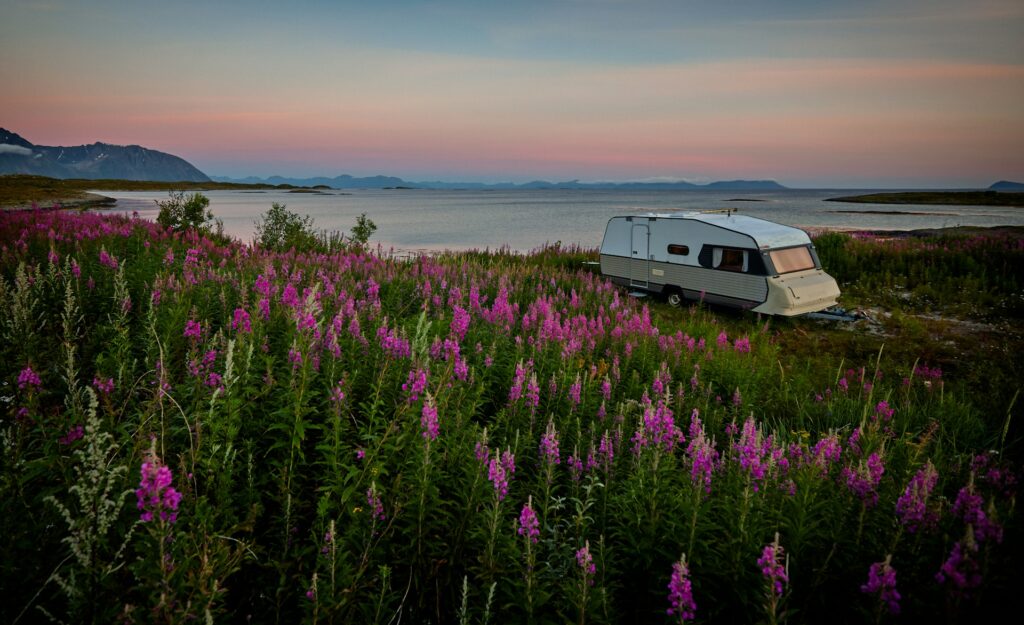 A camping trailer parked in a field of blooming purple flowers beside a serene lakeshore at sunset, with mountains in the distance.