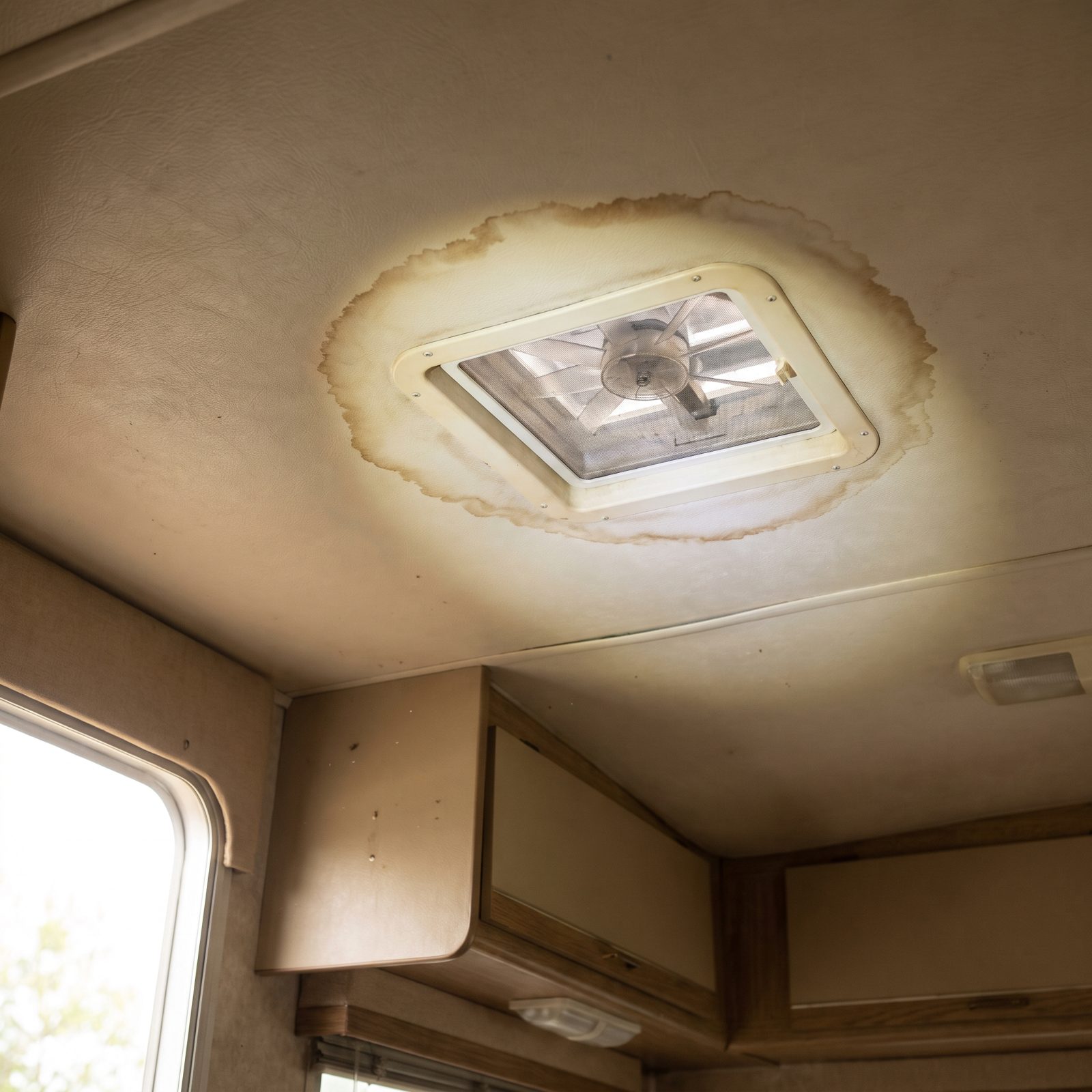 That Ceiling Stain Is 