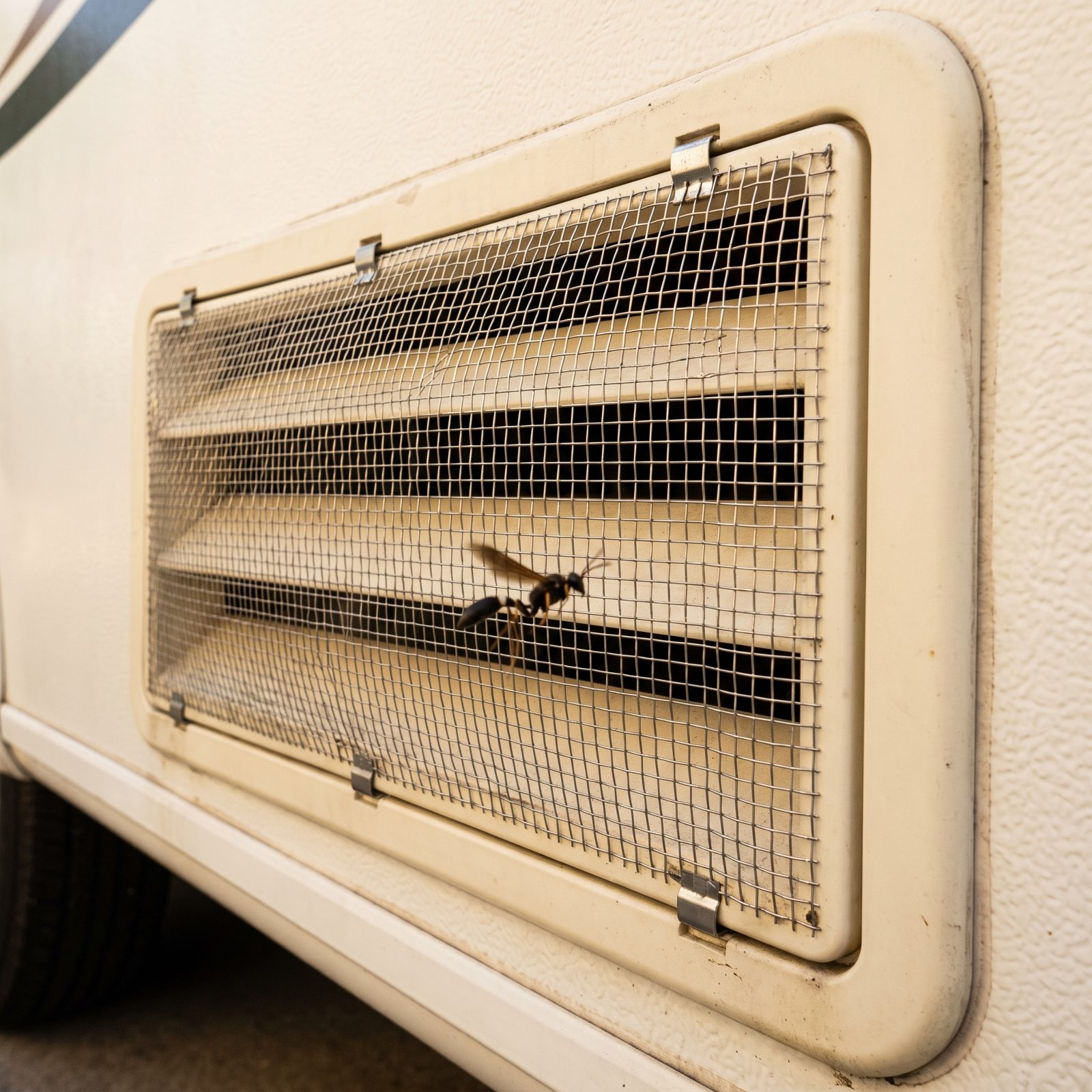 Fine-Mesh Vent Screens That Lock Out Mud Daubers and Nesting Bugs