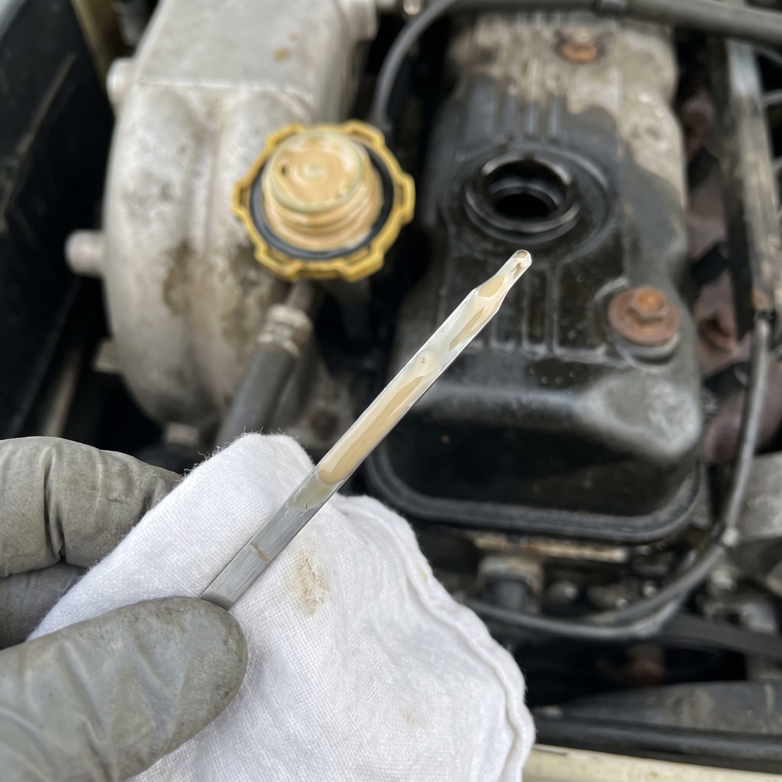 Milky Engine Oil on the Dipstick or Filler Cap
