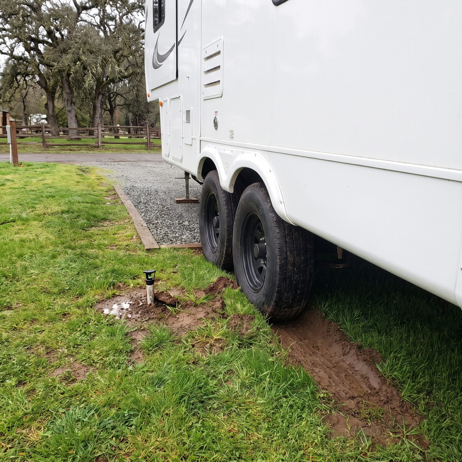 Parking the Tires on the Grass to Save a Few Feet