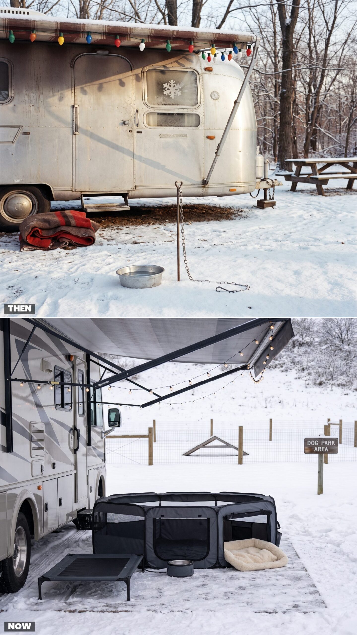 Pet Camping: A Dog Tied Beside the Trailer vs. Fenced Dog Parks and Portable Pens